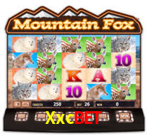 Xxcbet,Xxcbet.Com